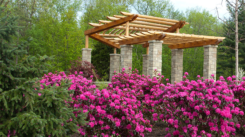 Outdoor image a pergola in the Rhododendron Garden
